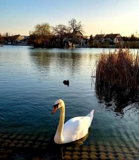 Vigneux-sur-Seine Apartamento | Appartement Cosy ,WIFI ,Gare "Le Refuge du Lac"