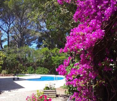 Boulouris-sur-Mer Apartamento | Appartement dans Villa St Raphael