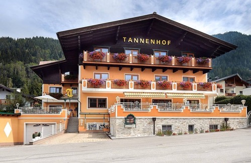 Flachau Apartamento | Appartement Deluxe Typ D Ohne Verpflegung ab3 Tage - Hotel-garni Tannenhof