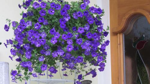 Umhausen Apartamento | Appartement Elena