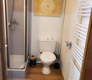 Epinal Apartamento | Appartement entier - cosy et lumineux - Plein centre-ville