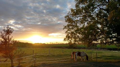 Loxstedt Apartamento | Appartement im Stall "Lune River Ranch"