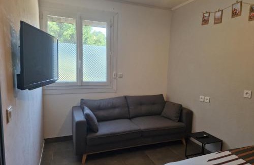 Serezin-du-Rhone Apartamento | Appartement indépendant dans maison avec jardinet, au calme