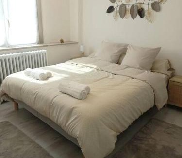 Remiremont Apartamento | Appartement Les Géraniums