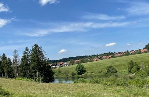 Clausthal-Zellerfeld Apartamento | Appartement Max