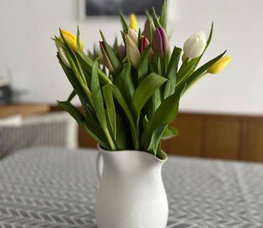 Maria Alm am Steinernen Meer Apartamento | Appartement Malejo am Hochkönig