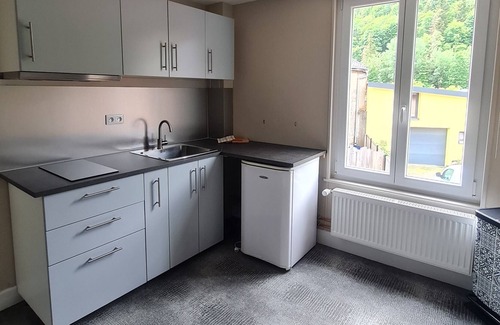 Metzeral Apartamento | Appartement Spacieux au Départ de Sentiers de Randonnées
