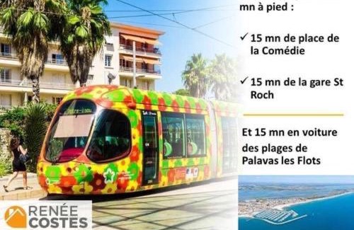 Lemasson Apartamento | Appartement T2 clim, wifi, parking centre ville à 10mn, plage 20mn