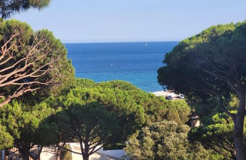La Nartelle Apartamento | APPARTEMENT VUE MER 200 M DES PLAGES - DJUMBO