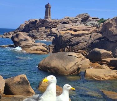 Plougasnou Apartamento | Appartement vue mer, GR 34 et plage au pied !