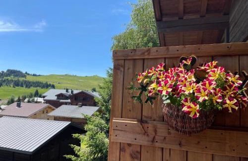 Les Saisies Apartamento | APPARTEMENT VUE SUR LES PISTES Aux SAISIES 4