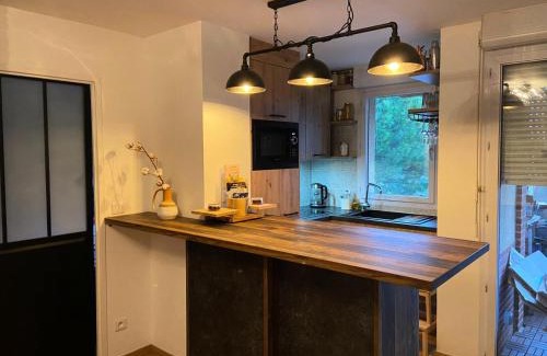 Guilhemery Apartamento | Appartements à Toulouse - Factory - FACMINTLS02 MAE-7491