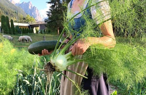 Valle San Silvestro Apartamento | Apparthotel Germania