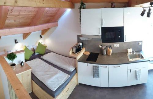 Bilovice nad Svitavou Apartamento | Appartment in the Sky