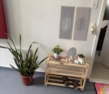 Coqueiro Apartamento | Apto dois quartos Px de tudo ideal pra cop