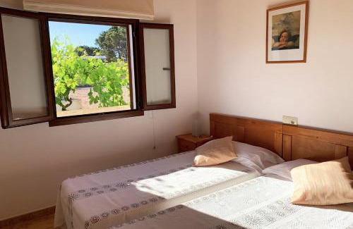 Sant Francesc Xavier Casa | Aptos rurales Can Pep de Sa Barda - Viñedos y tranquilidad