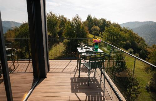 Horea Casa | Apuseni Air - Luna