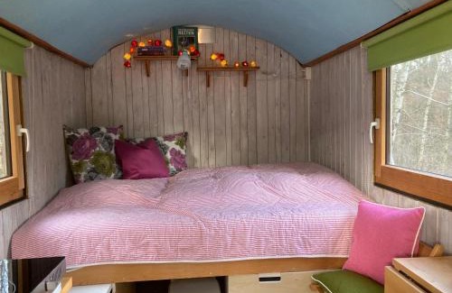 Hummeltal Otro | Arabian Harmony herzlich und familiär