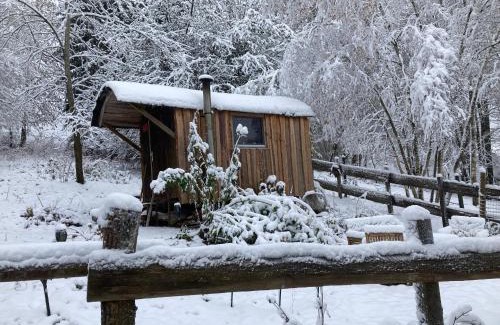 Hummeltal Otro | Arabian Harmony herzlich und familiär