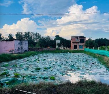 Hasanpur Casa | Aranya Orchids Farmstay