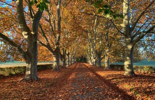 Havelock North Casa | Arapata
