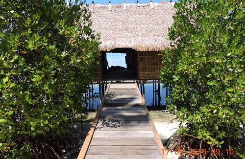 Waisai Casa | Arborek Homestay