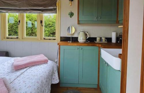 Beaworthy Casa | Arcadia Shepherds Hut