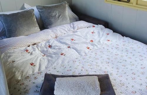 Beaworthy Casa | Arcadia Shepherds Hut