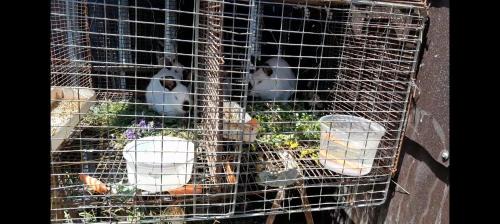 Sevan Hotel | Armenia VanSevan Hotel