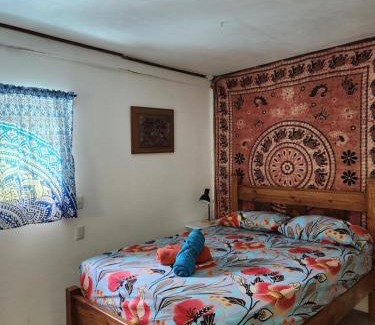 Punta Uva Apartamento | Armonía Punta Uva