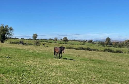 Omagh Cama Y Desayuno | Arney Lodge Farm