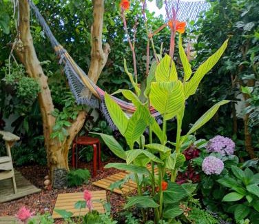 Ponta Delgada Casa | Arruda´s House