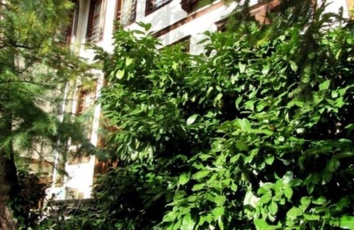 Ustovo Casa | Casa de arte, Smolyan, Bulgara