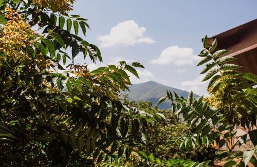 Bitola Hotel | Artelo - Inspired Stay