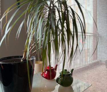 Çagllavicë Apartamento | Artist's Apartment in Prishtina