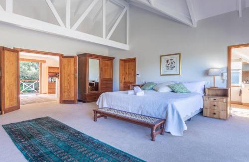 Hout Bay Apartamento | Arum farm style house -stunning indigenous garden