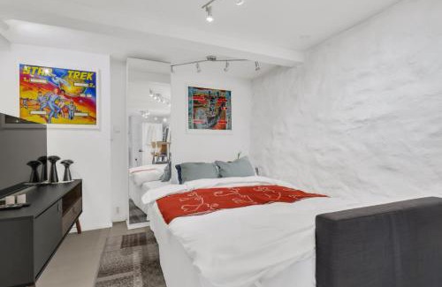 Sentrum Apartamento | AS3 - Studio in City Center