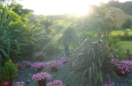 Whitianga Cama Y Desayuno | At Parkland Place B&B
