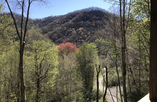 Maggie Valley Cabina | En el Woods-3 BR Pet Friendly