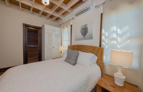 San Pedro Casa | Athena's Mahogany House and The PoolClub at Mahogany Bay!