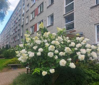 Ogre Apartamento | Atpūta pie Zilajiem kalniem