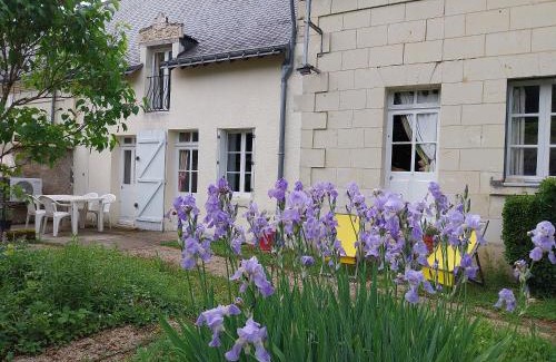 Huismes Casa | Au cœur des châteaux et des vignobles de la Loire