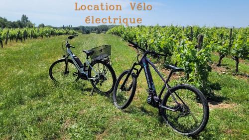 Lussac Cama Y Desayuno | Au Do'Mayne des Bouilles - Spa & Piscine