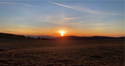 Munster Apartamento | Au petit Meuh'ster