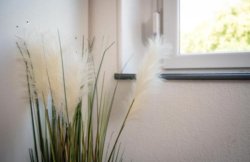 Munster Apartamento | Au Petit Meuh'ster