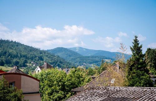 Munster Apartamento | Au Petit Meuh'ster