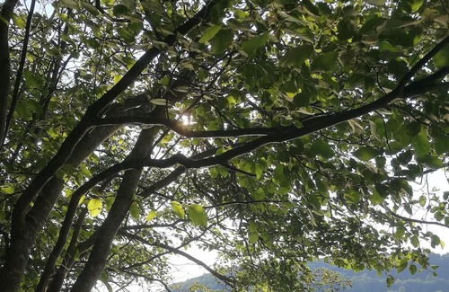 Labelle Casa | Au Pignon Vert. . ... .