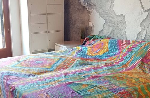 Soudorgues Casa | Au royaume des chats