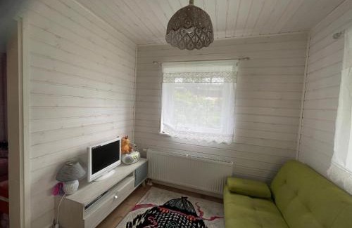 Vissi Casa | Aunt Owl’s House