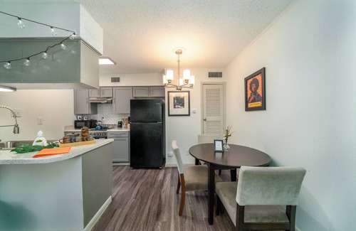 Hyde Park Apartamento | Austinite - Near UT, Hyde Park & Moody Center